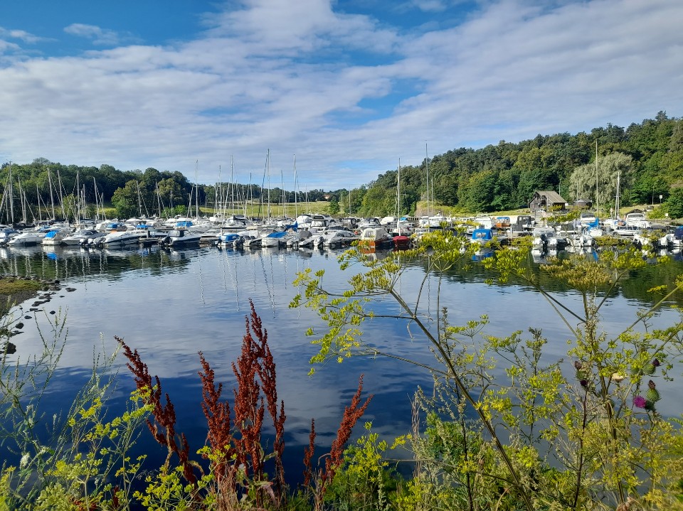 [27.07.2026] – En flott morgentur ved Frognerkilen her i dag.&nbsp;:-)