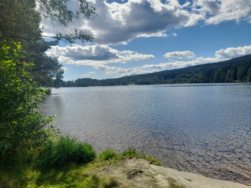 [22.07.2026] – En flott tur ved vakre Sognsvann i Oslo her i dag og litt fiske&nbsp;:-)